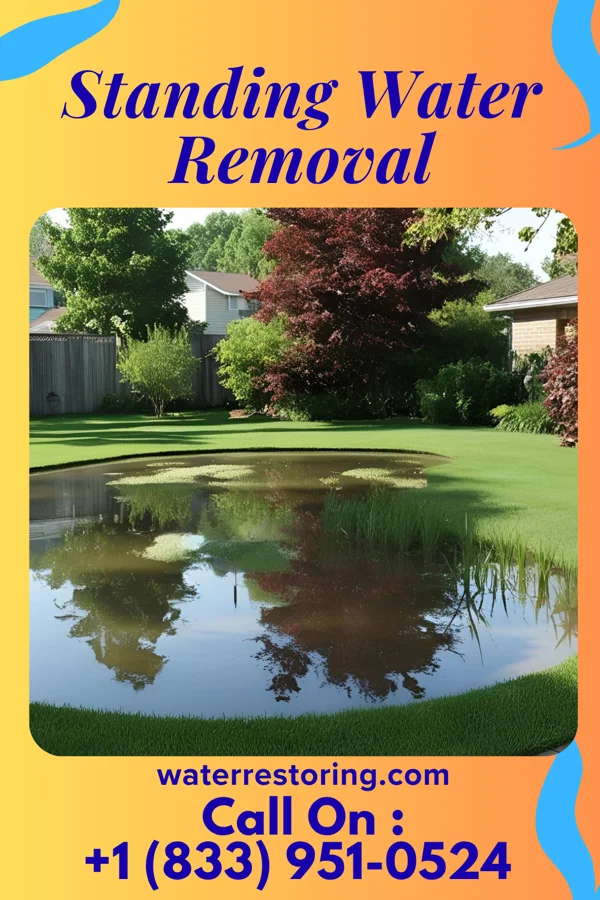 Standing Water Removal in Conway, MO